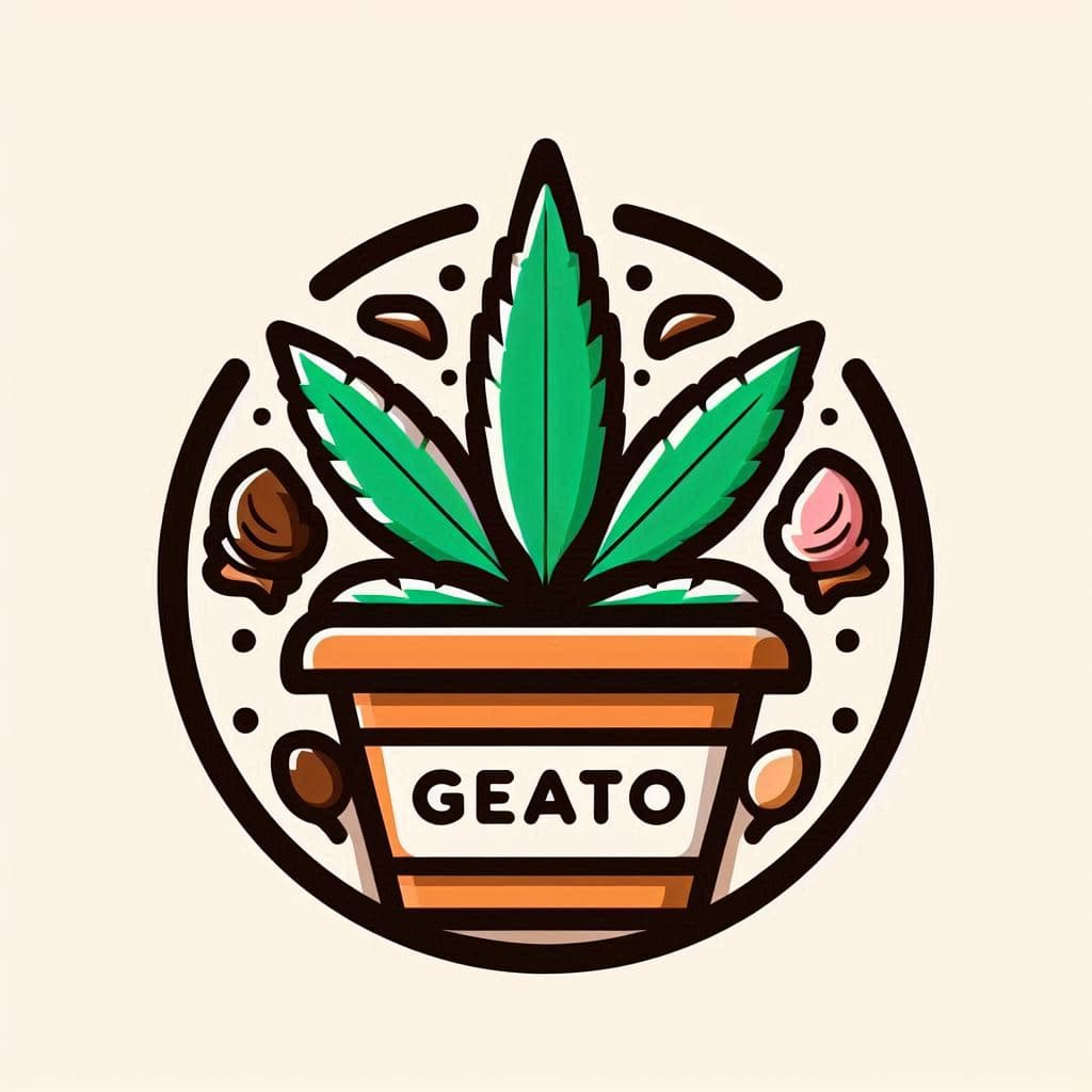 THC Gelato